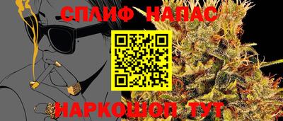 тгк Будённовск