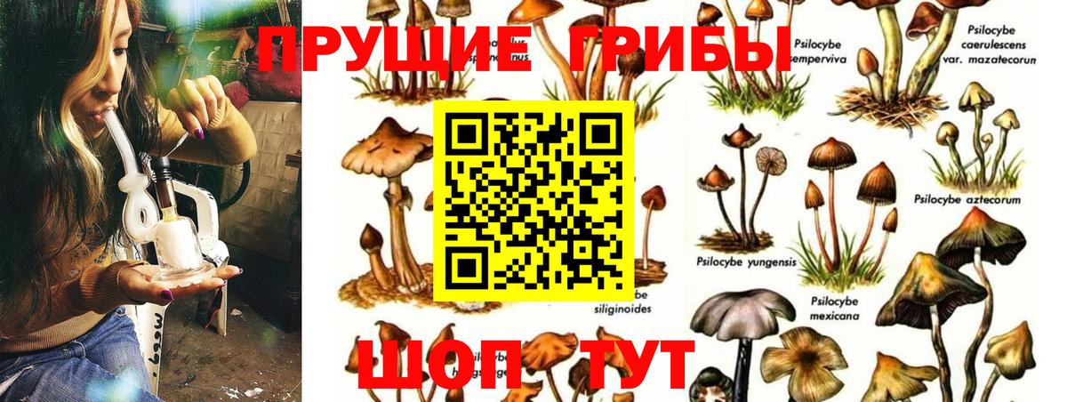 Галлюциногенные грибы ЛСД Новочеркасск